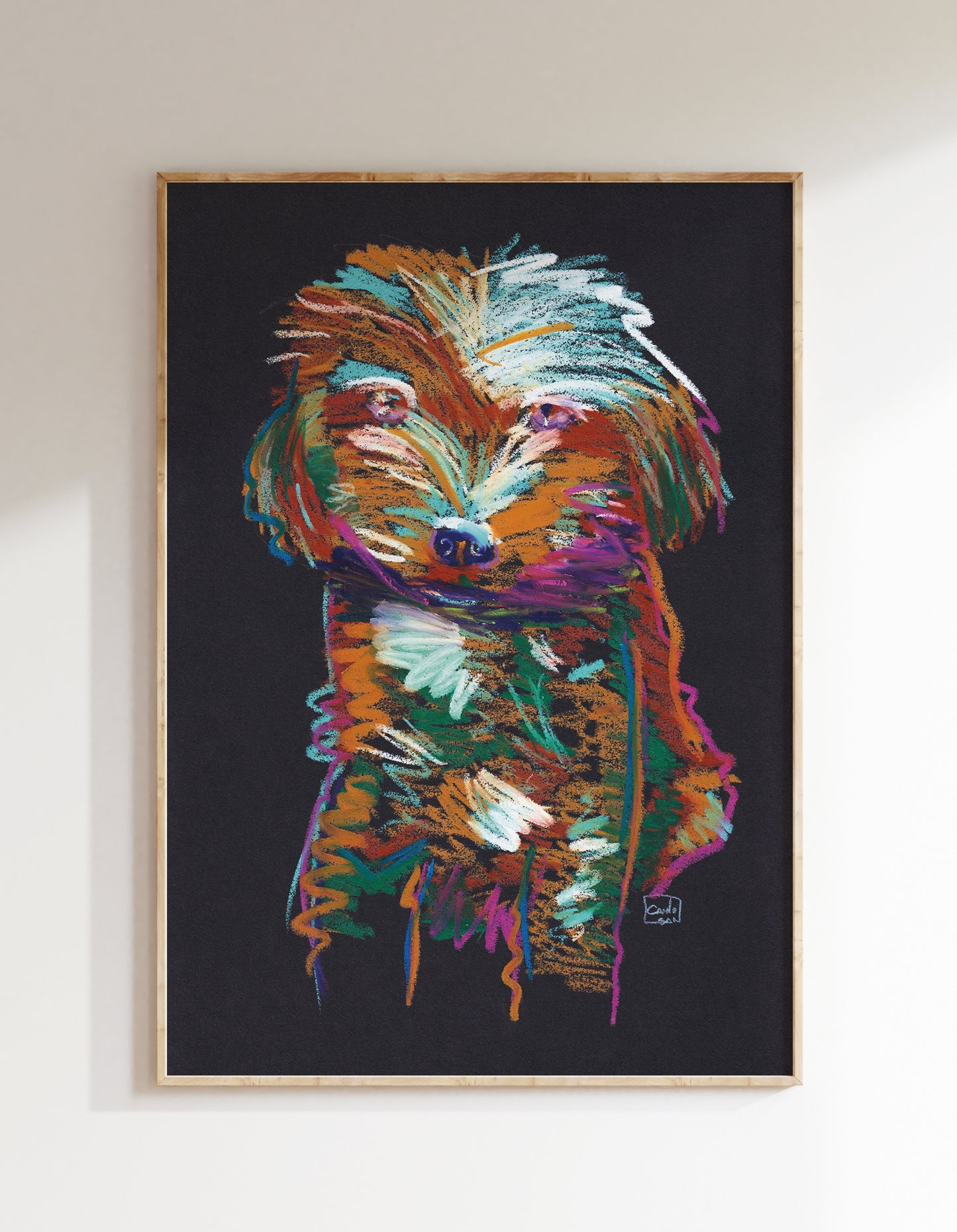 Dog looking at me