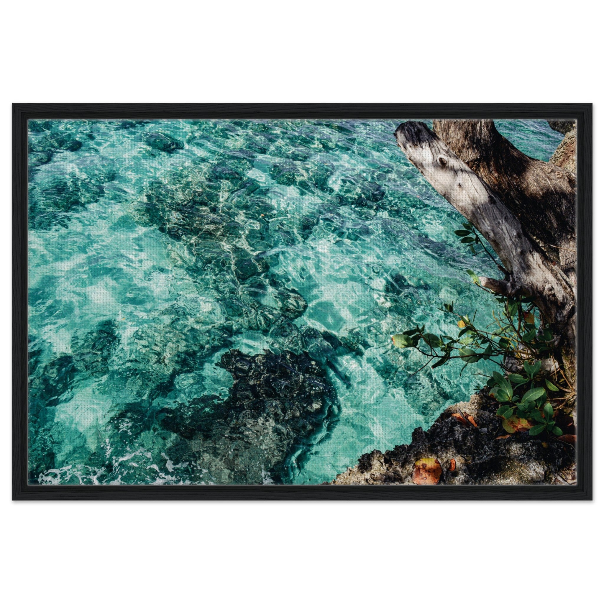 035dfbca-ba10-4048-9256-5ee8ae3c4a0c