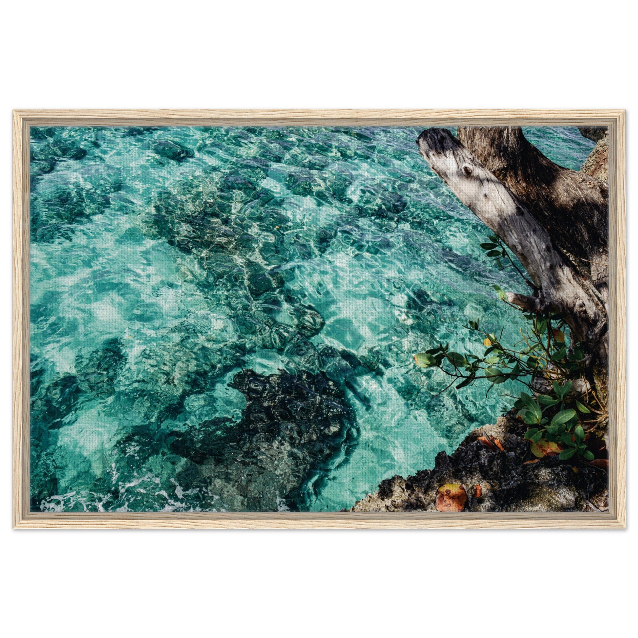 0861d771-c264-4cbe-9494-ccdf6b787f09