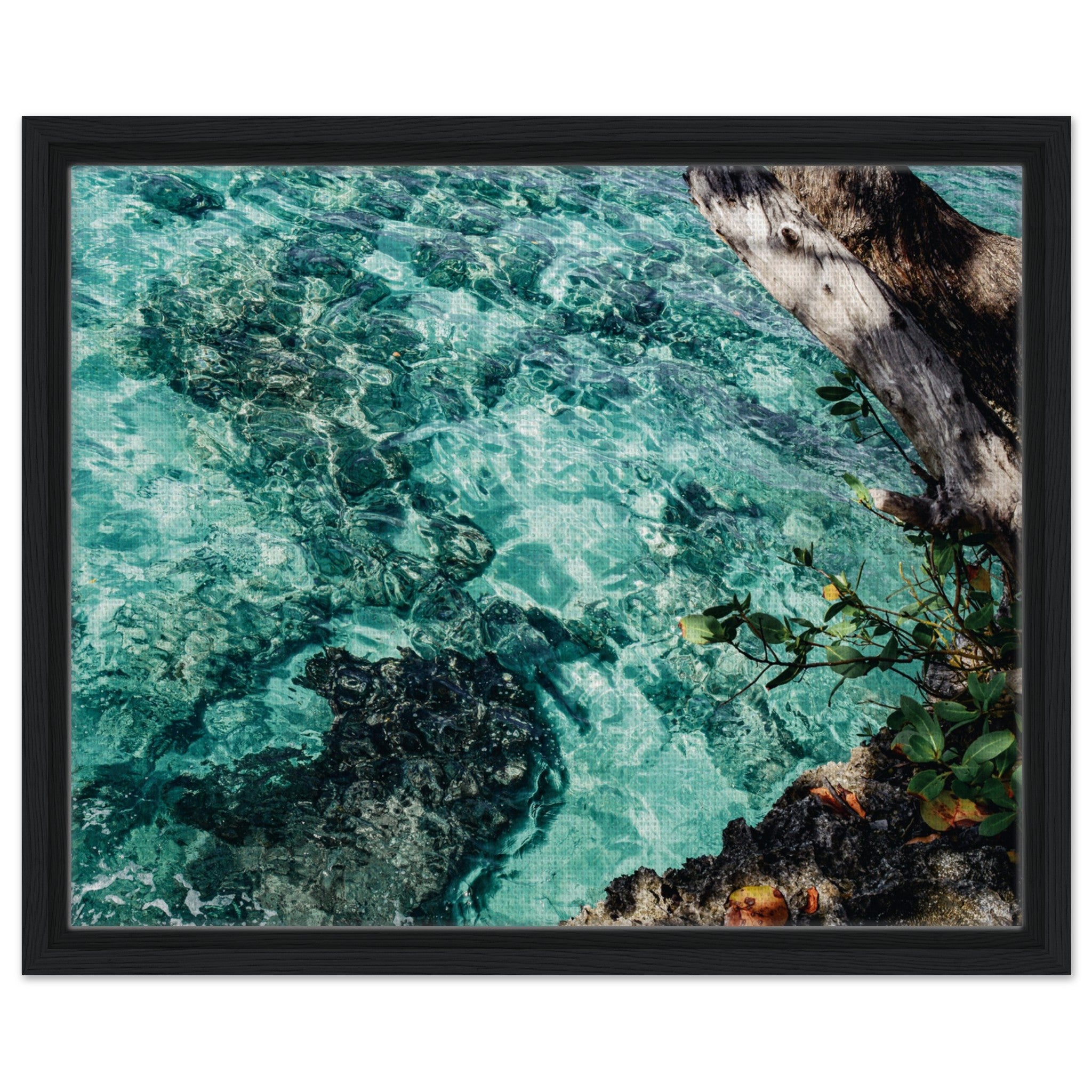 0b1d480d-6dd2-4336-b51e-f1a3f2b5f363