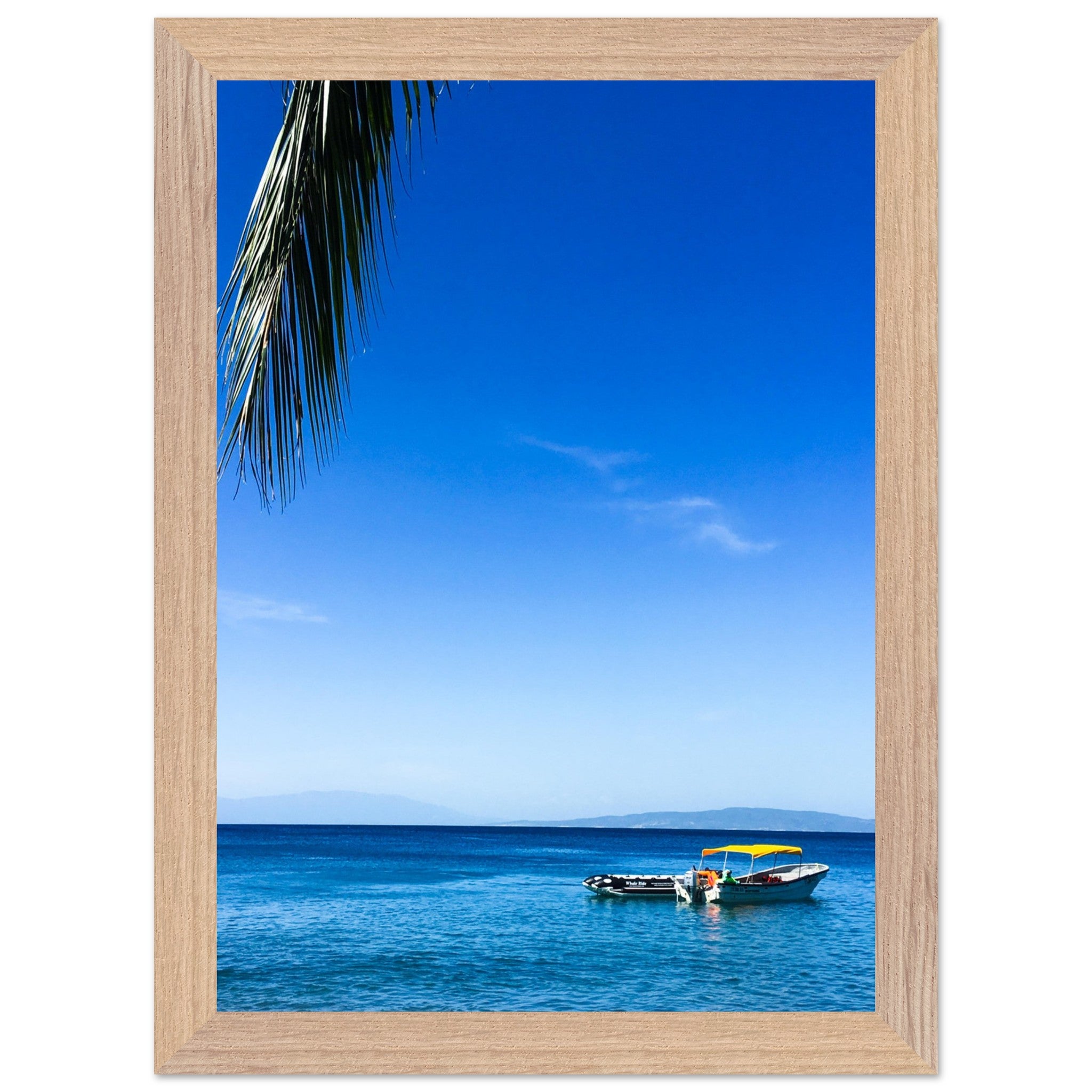 2c324b13-61db-4580-9d62-56589291ba62