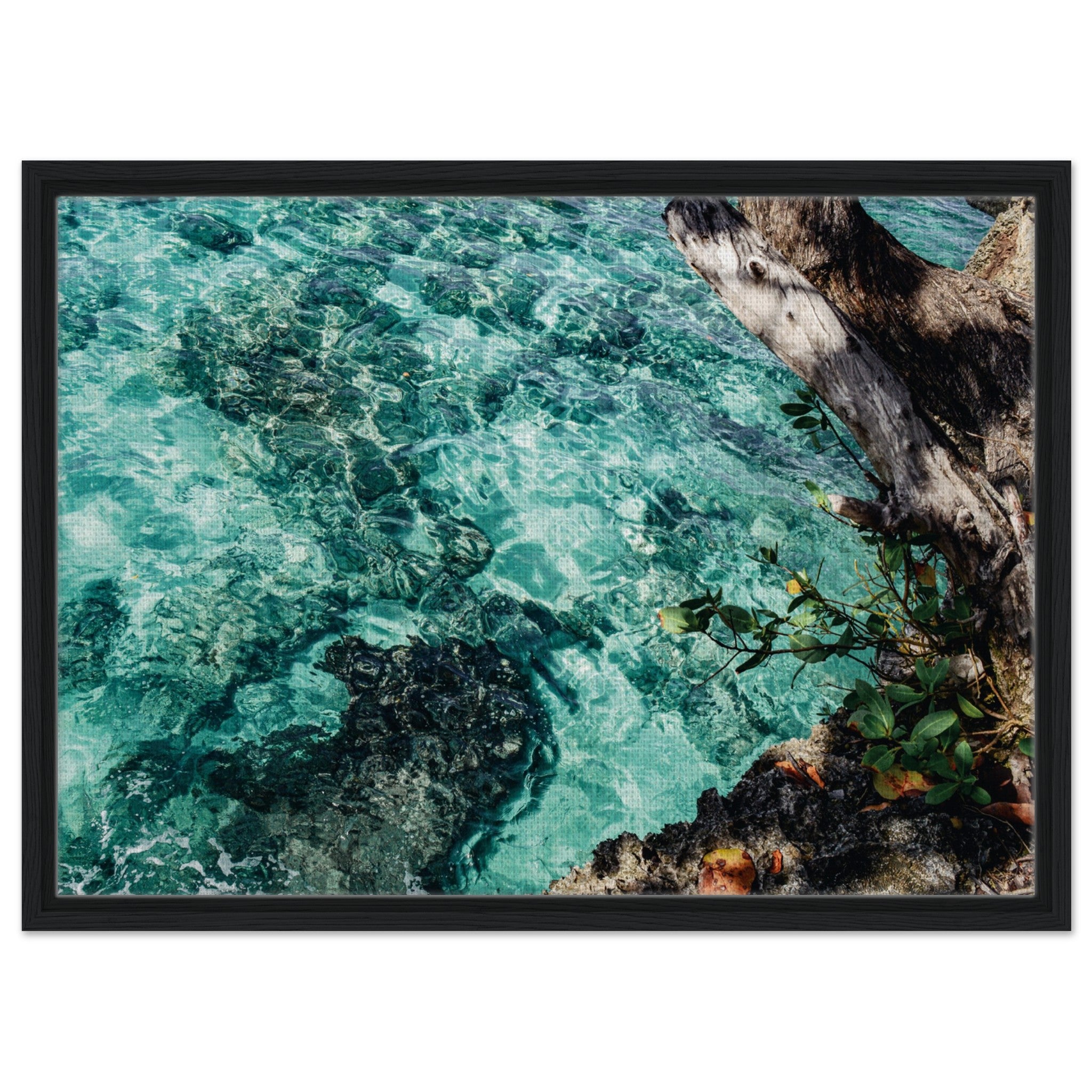 2db7e70f-20ba-46c6-9c77-84b2639c0a44