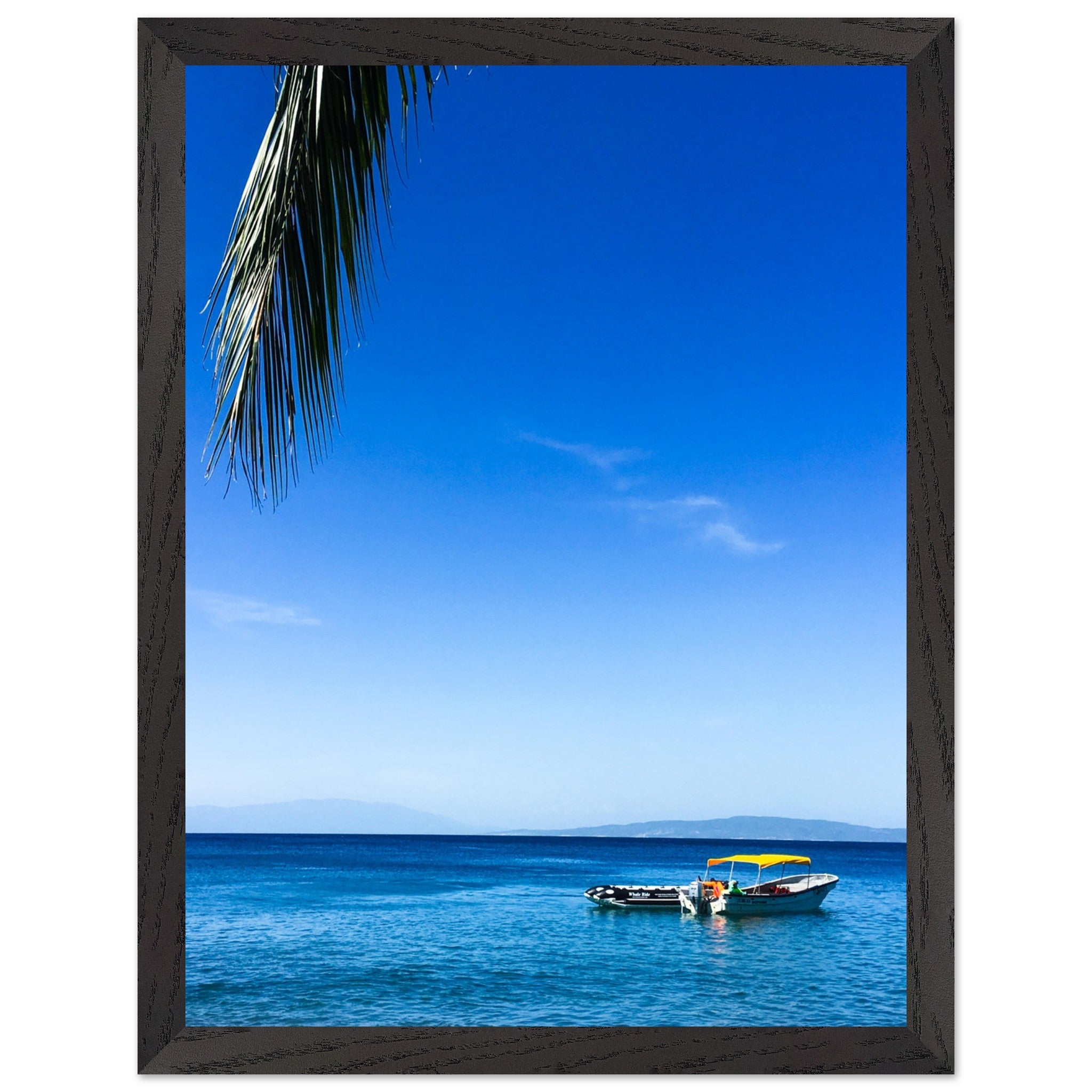 49cd0fe6-43e4-408d-91a0-458095c6fe07