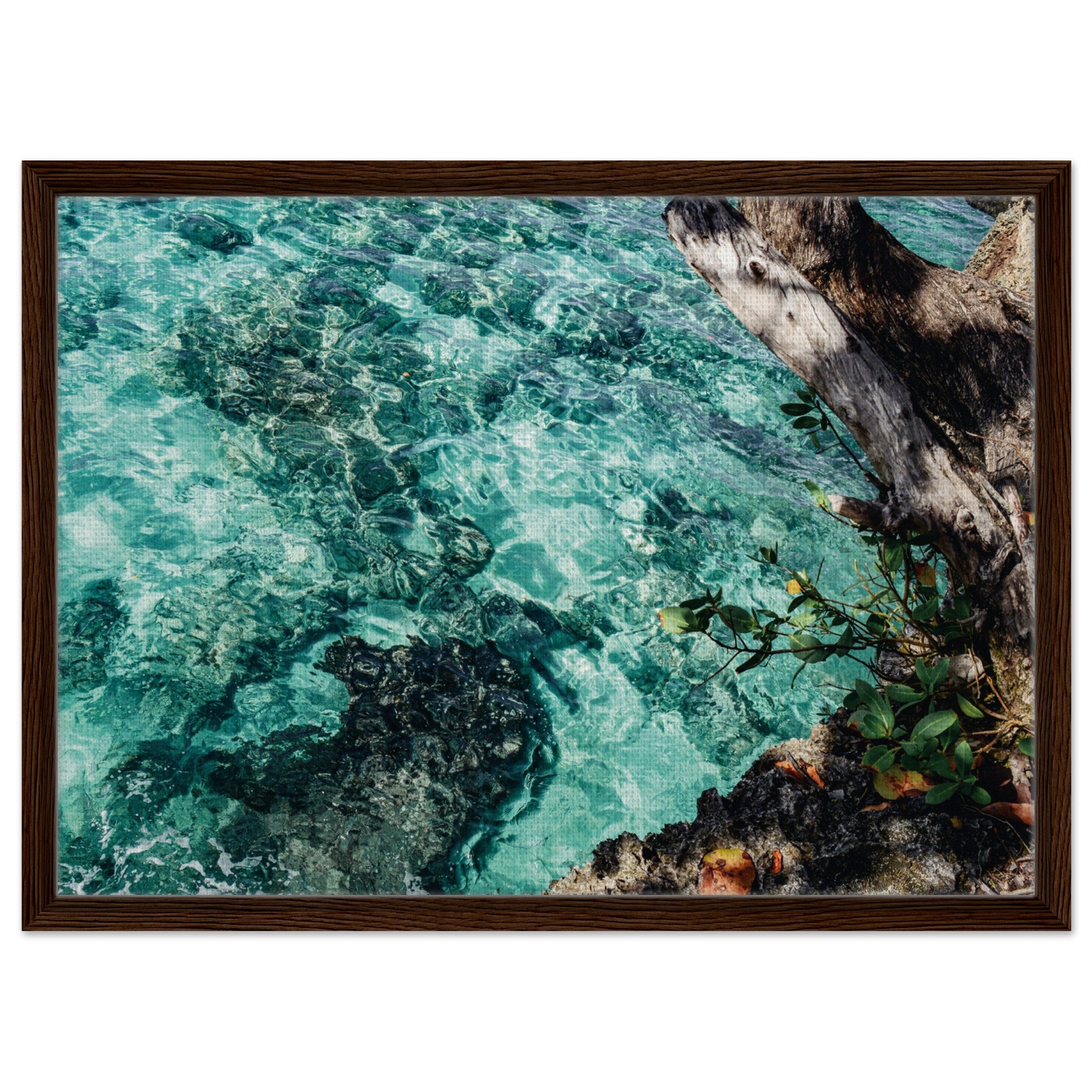 5383392e-89a0-4479-8c4b-5bcdbd330ff2