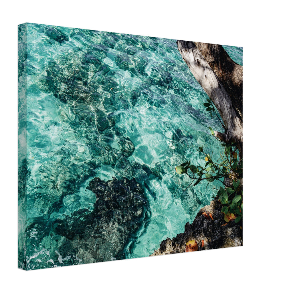 5590f50c-2bbe-49c7-adab-cf9438967bb9