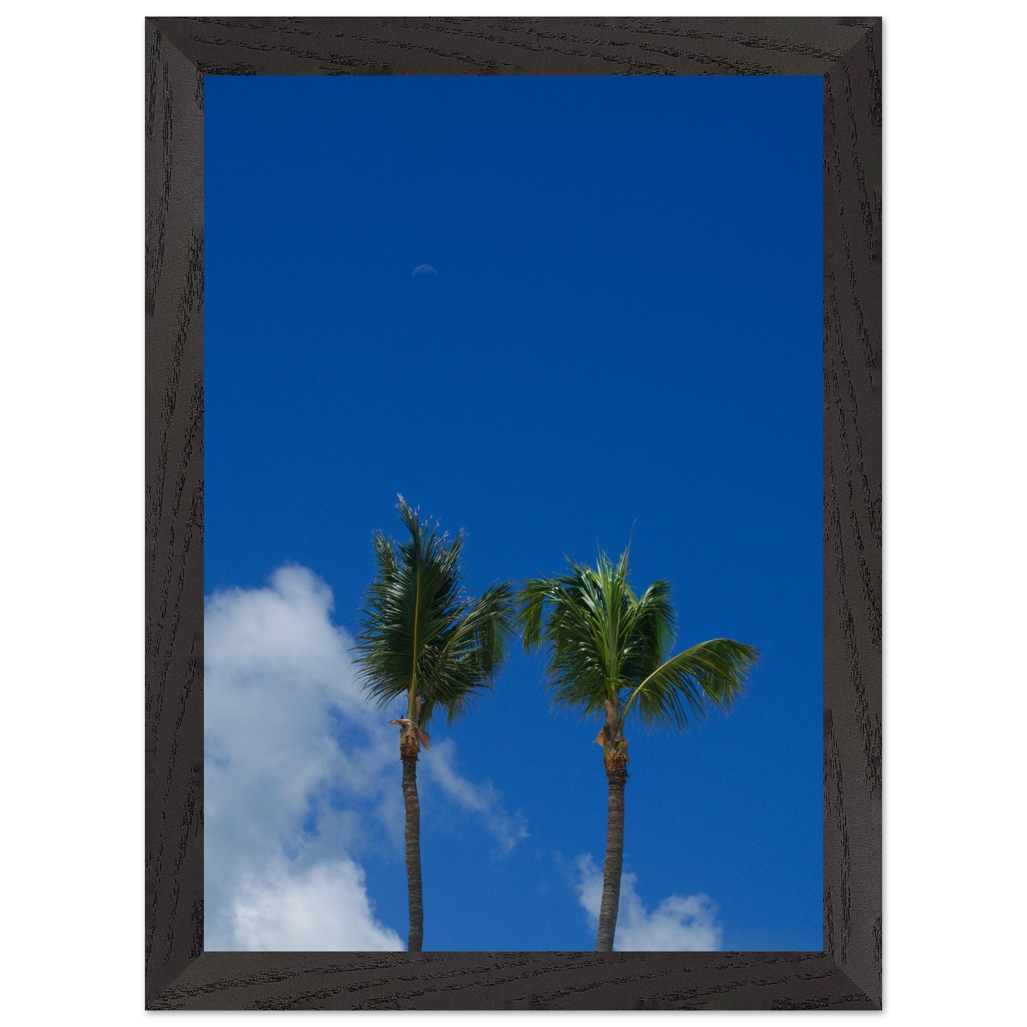 63c3416d-aee8-42de-968d-503e68a4bac1