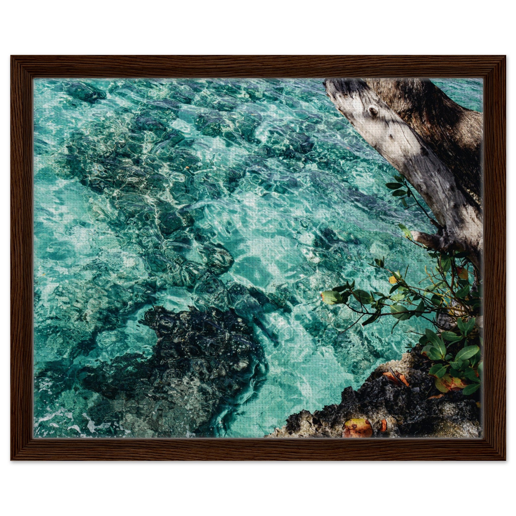 6a6a5b4a-6e39-4af8-be56-b955aeb2dc1c