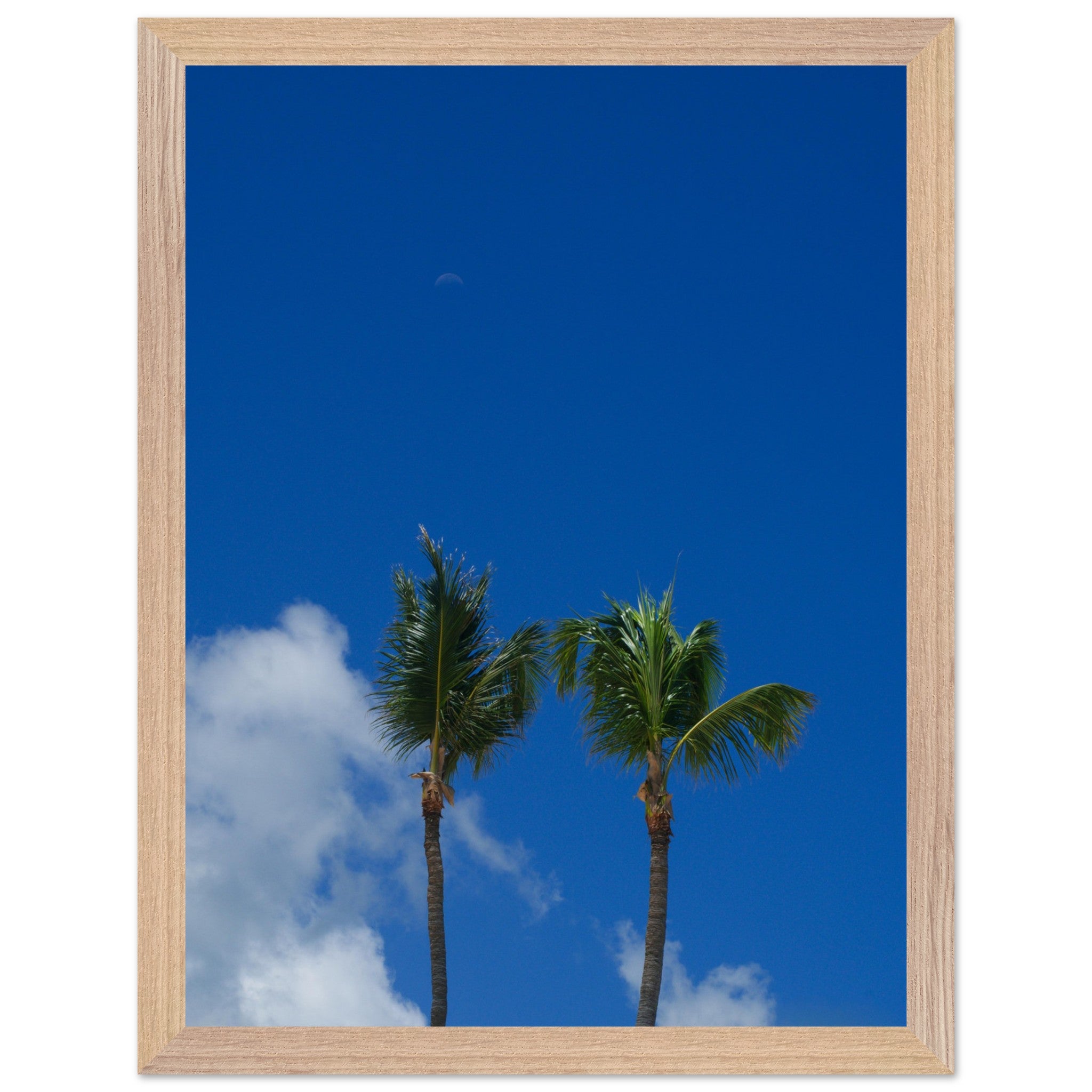 71b08184-2e33-4f8b-9976-e2c4deb55b34