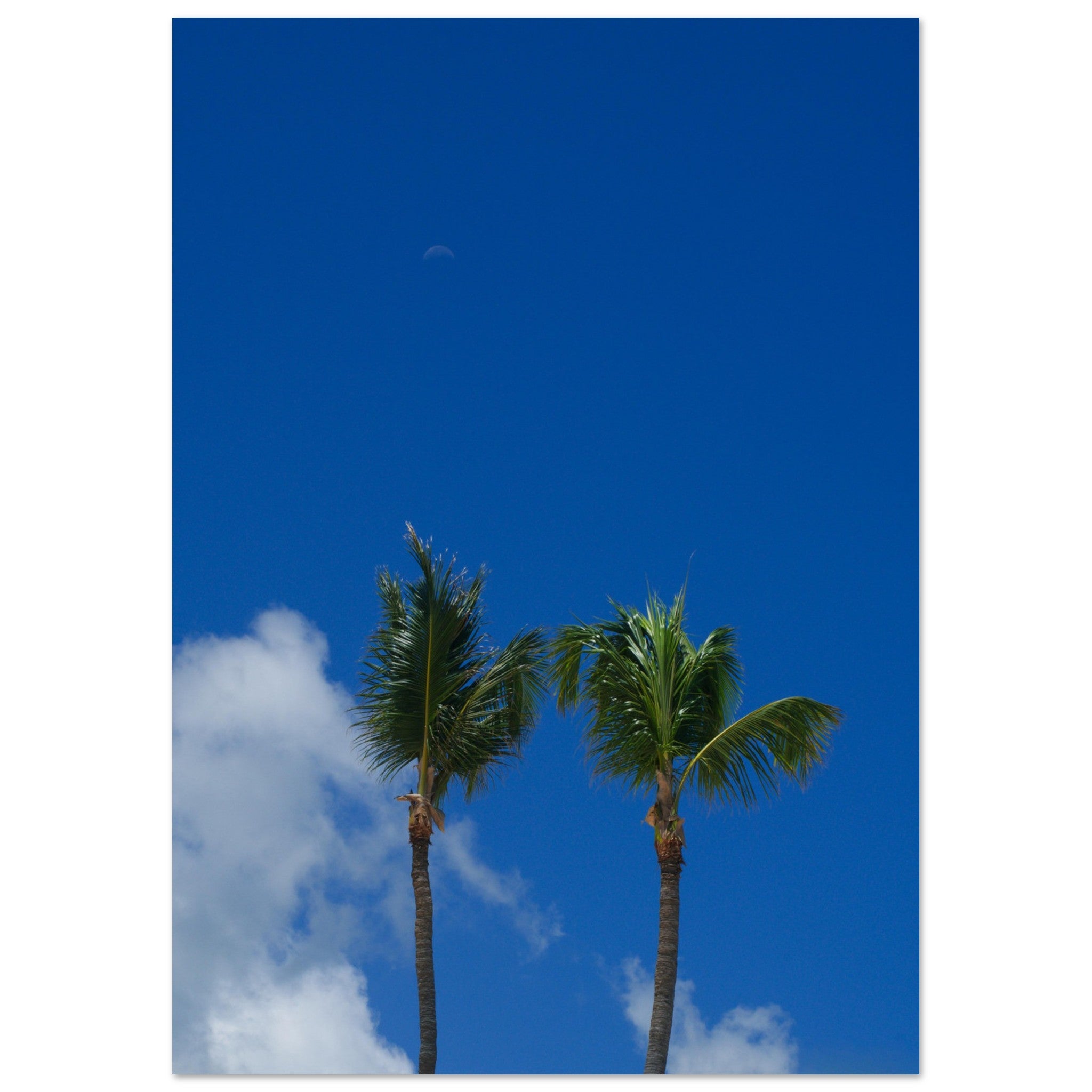 79eb1b06-ba1b-48b7-bd2e-f56d9dffcd7e