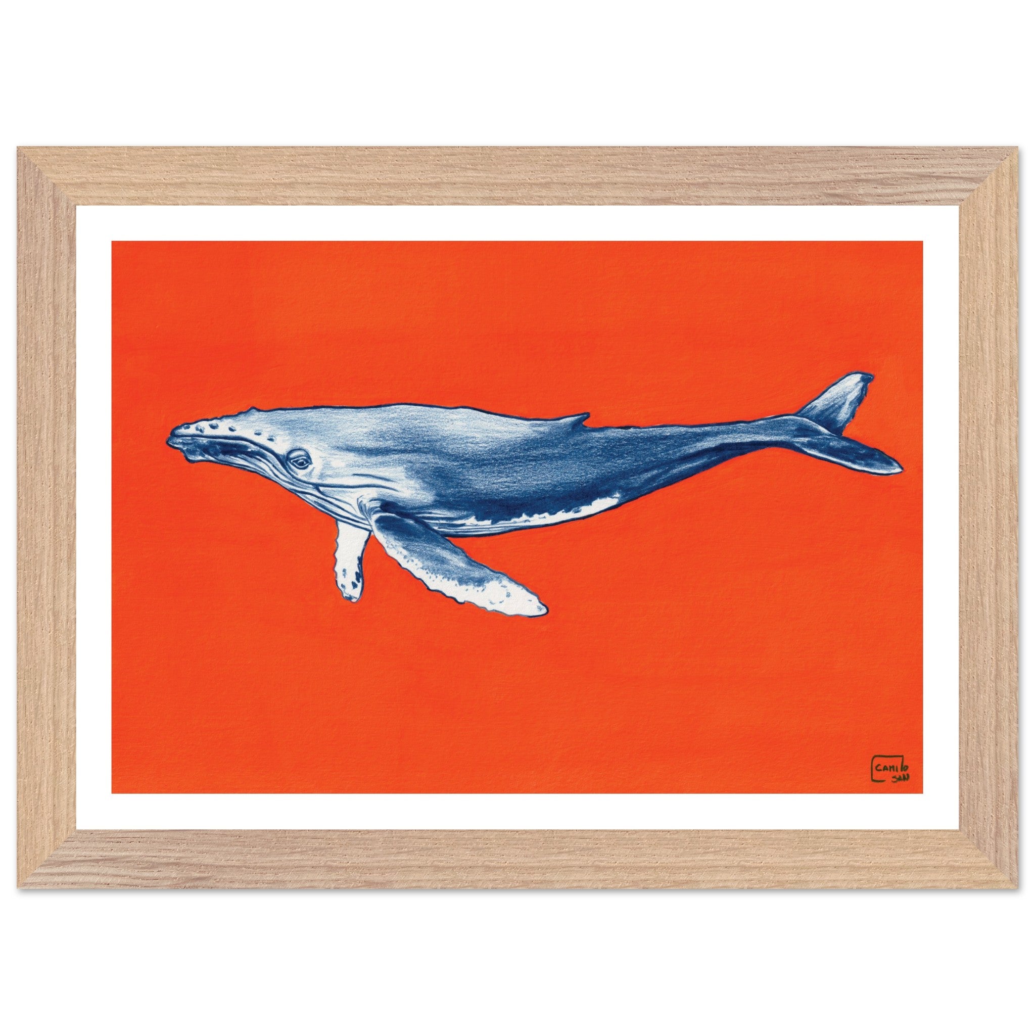 8f01191d-4763-4f0d-a0b4-b2b5fae031ab