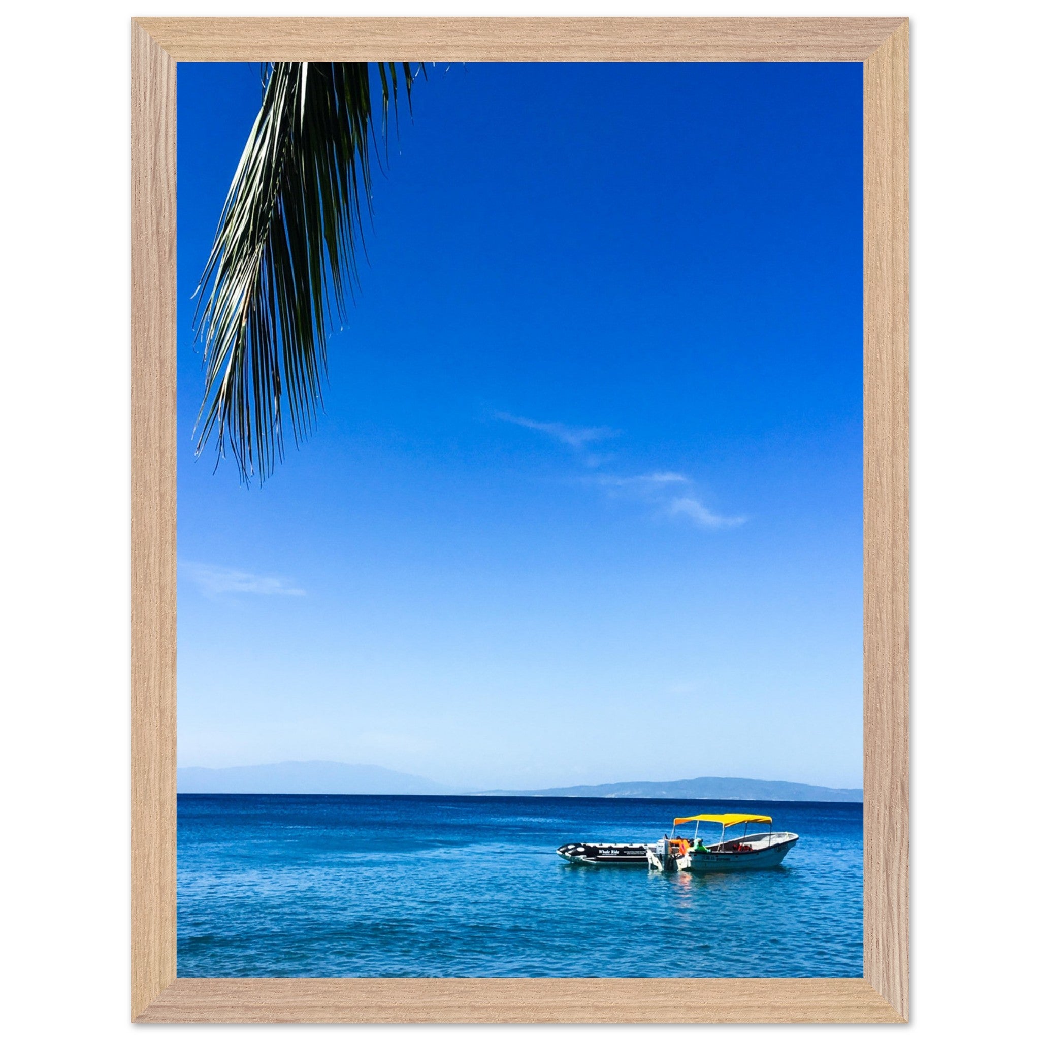 94d76cd9-3e32-4ccd-85bb-7d9f22c6bf9c