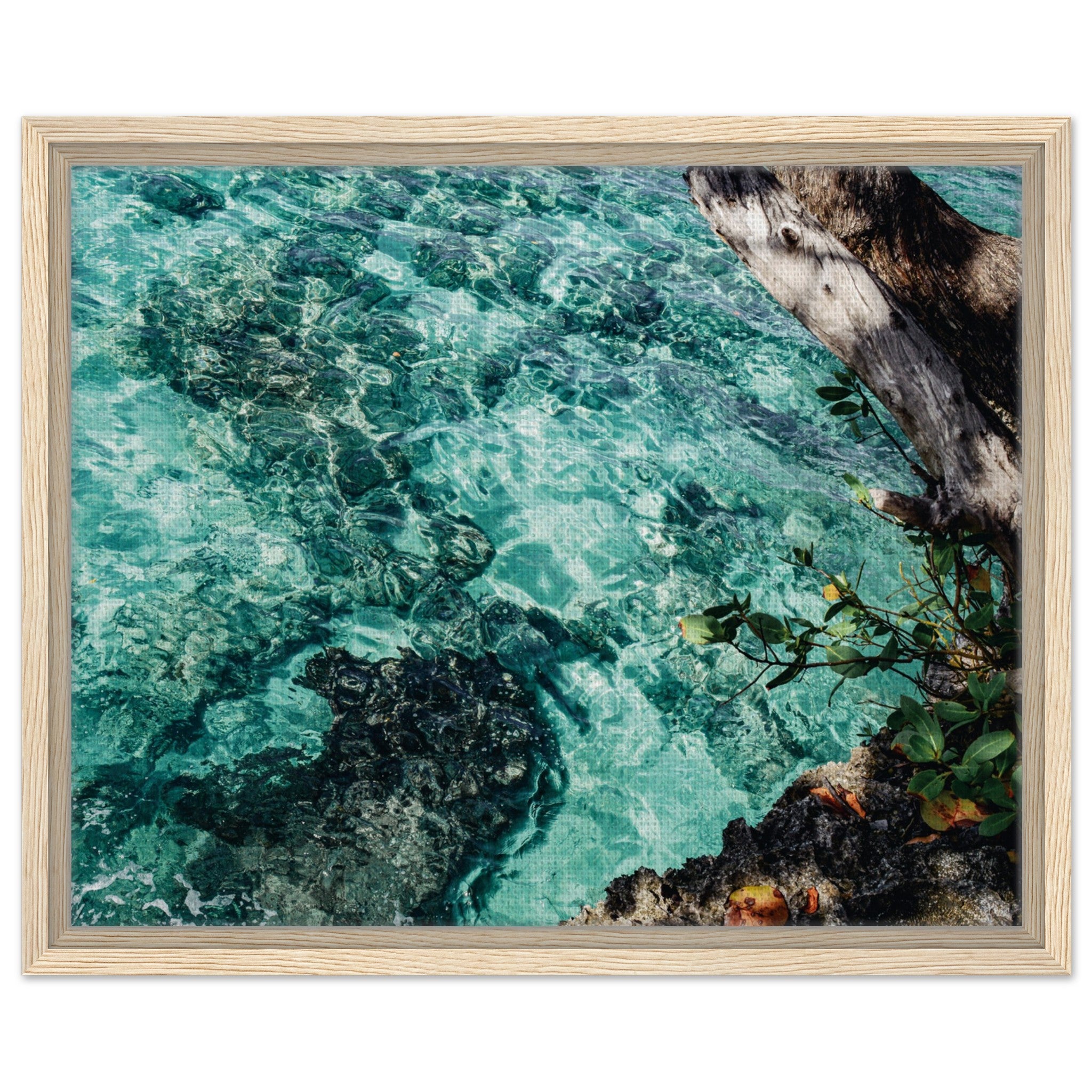 96cd2cf5-2625-4054-b337-00b5e4316135