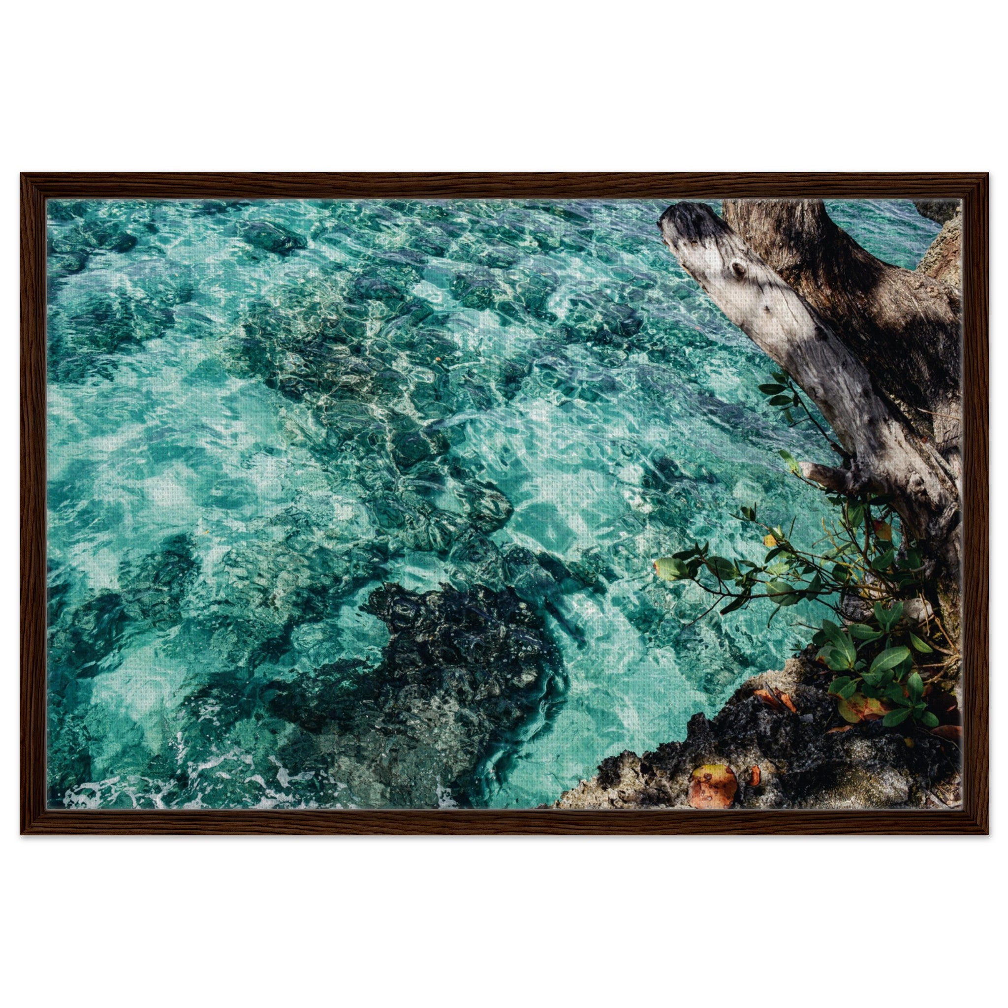 b4806da9-bd53-4da3-86a0-6f2501d12fc3