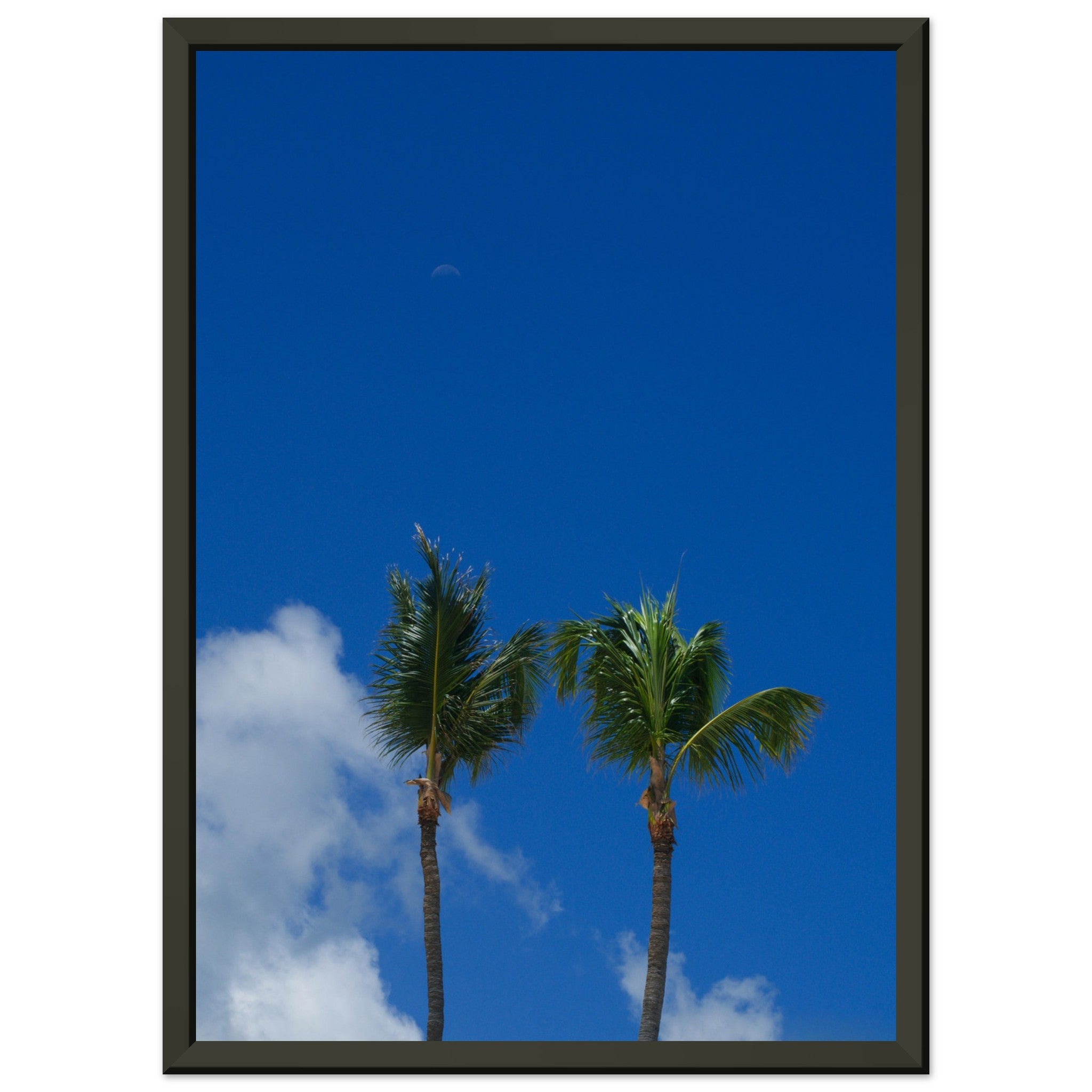 bc8ff5b0-afc9-464b-81a4-323c9dcea623