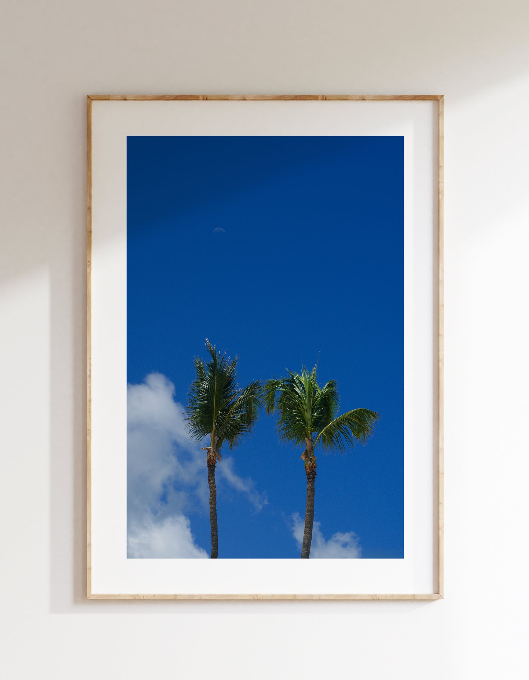 Blue sky, palm trees