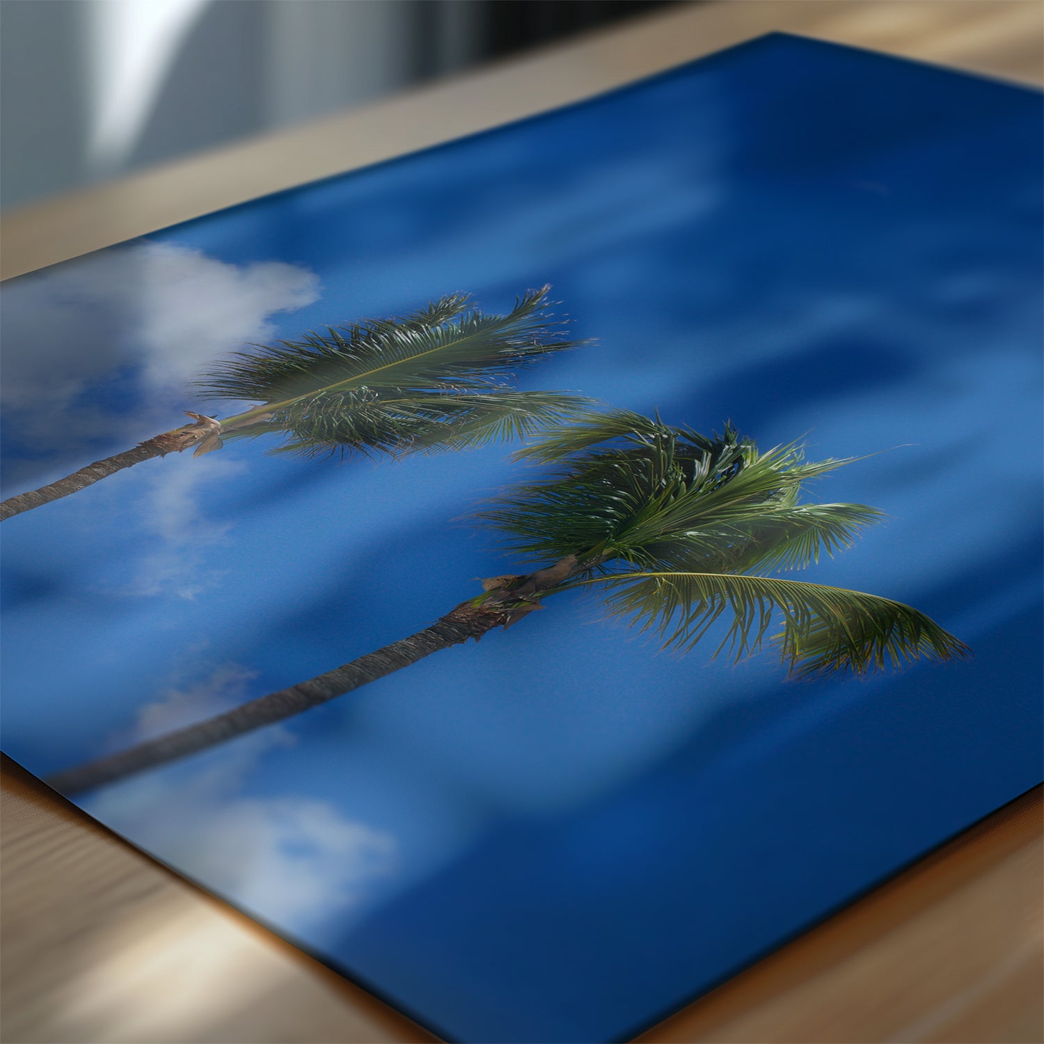 Blue sky, palm trees