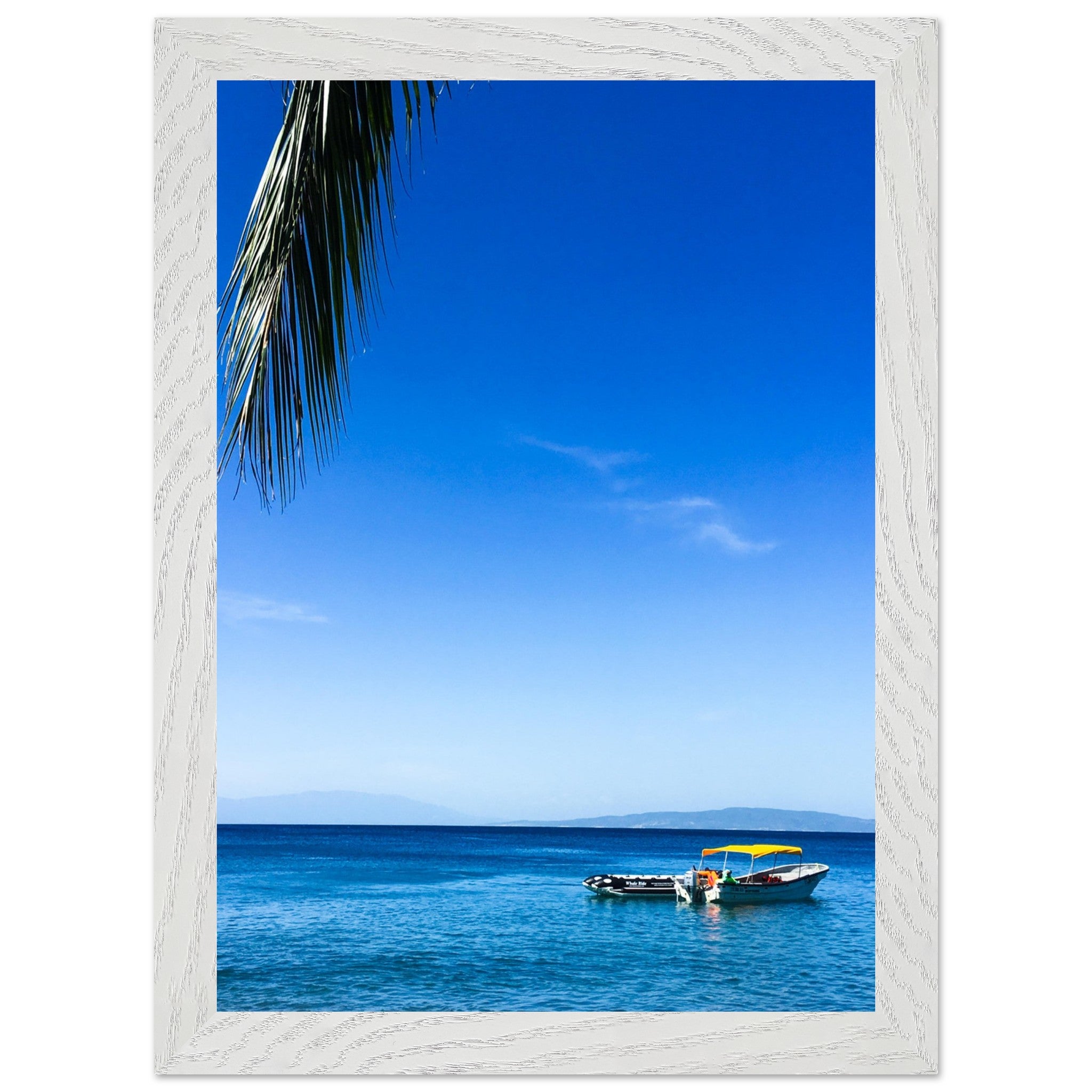 c0c1d303-27c8-47f3-b58d-a08109073657