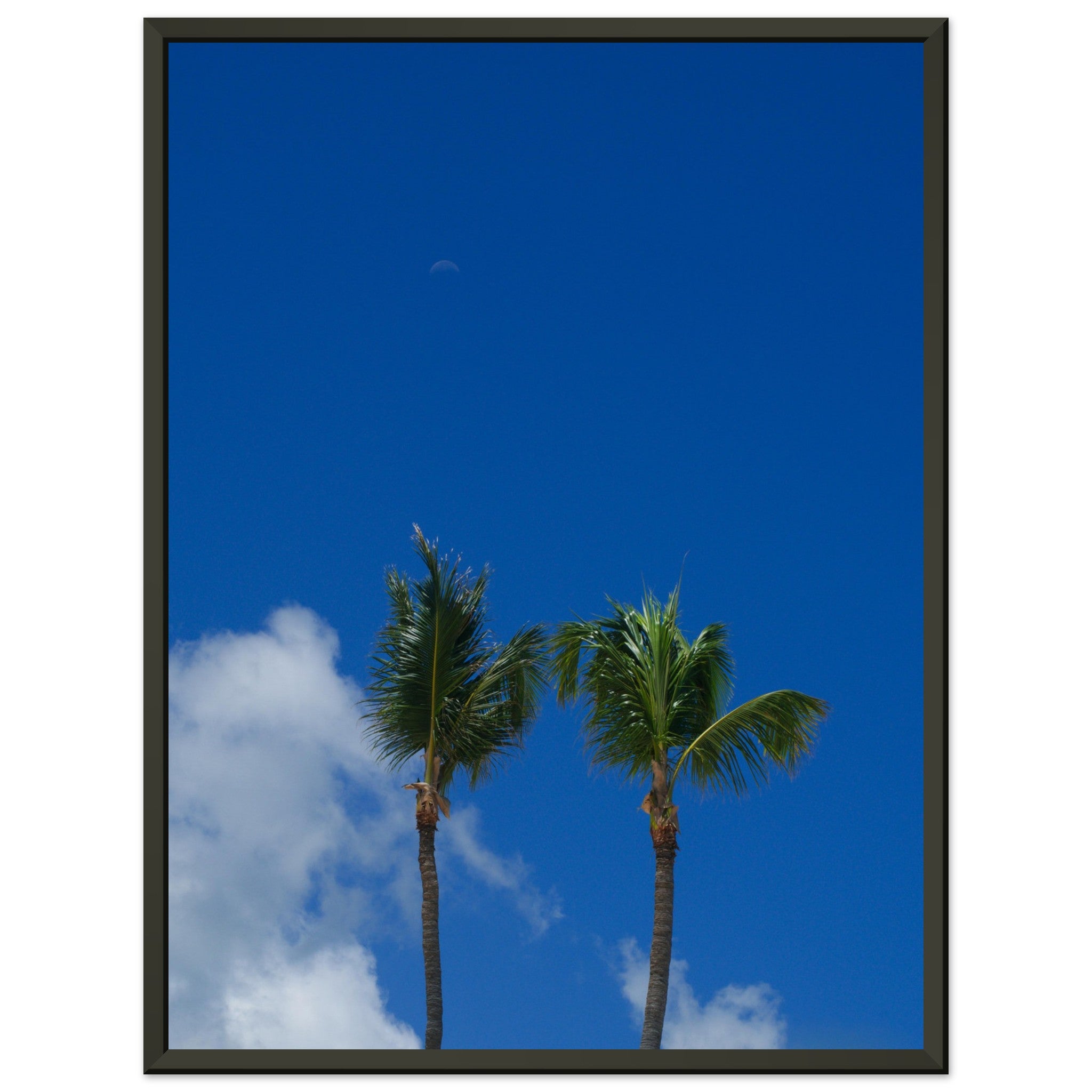 c27795e5-016f-4871-a310-03f5f3ab58e4