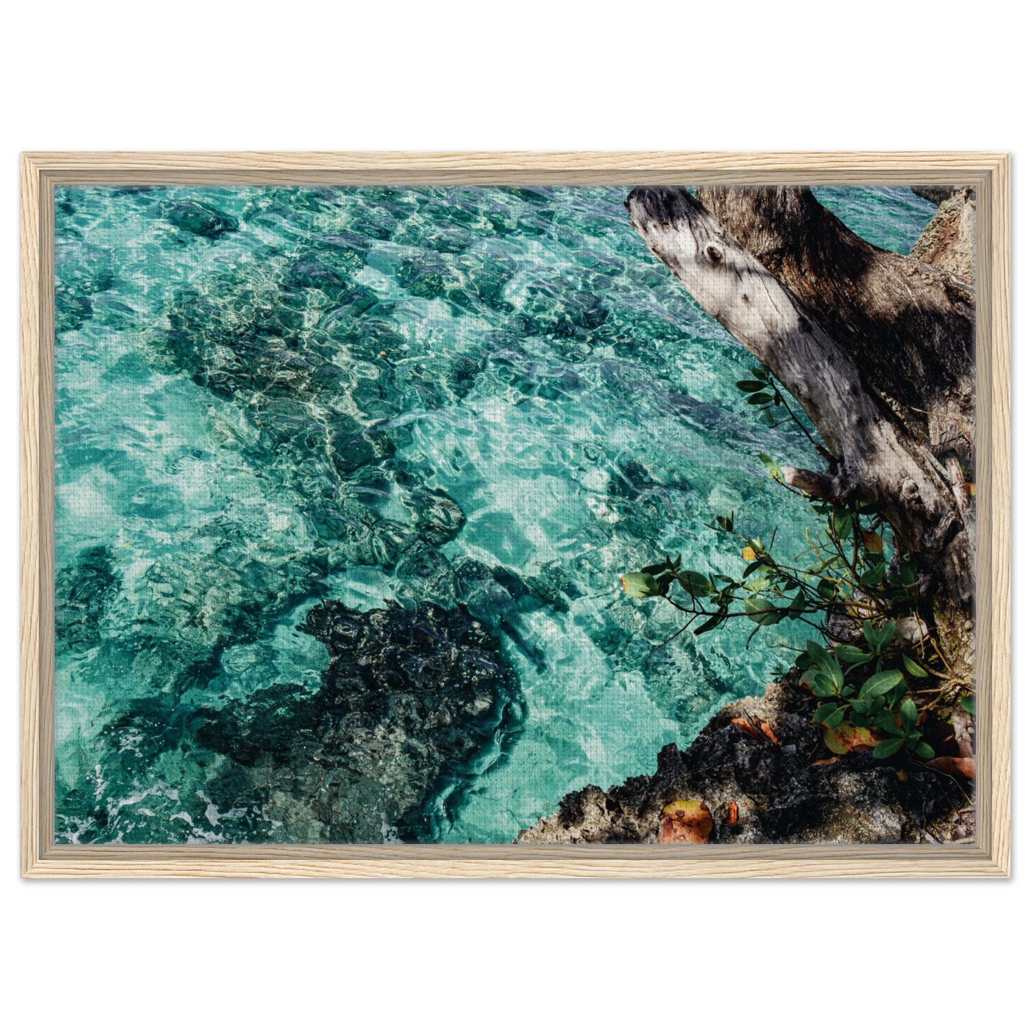 cea92659-fe0f-4797-9a2f-eaa34acea9ce