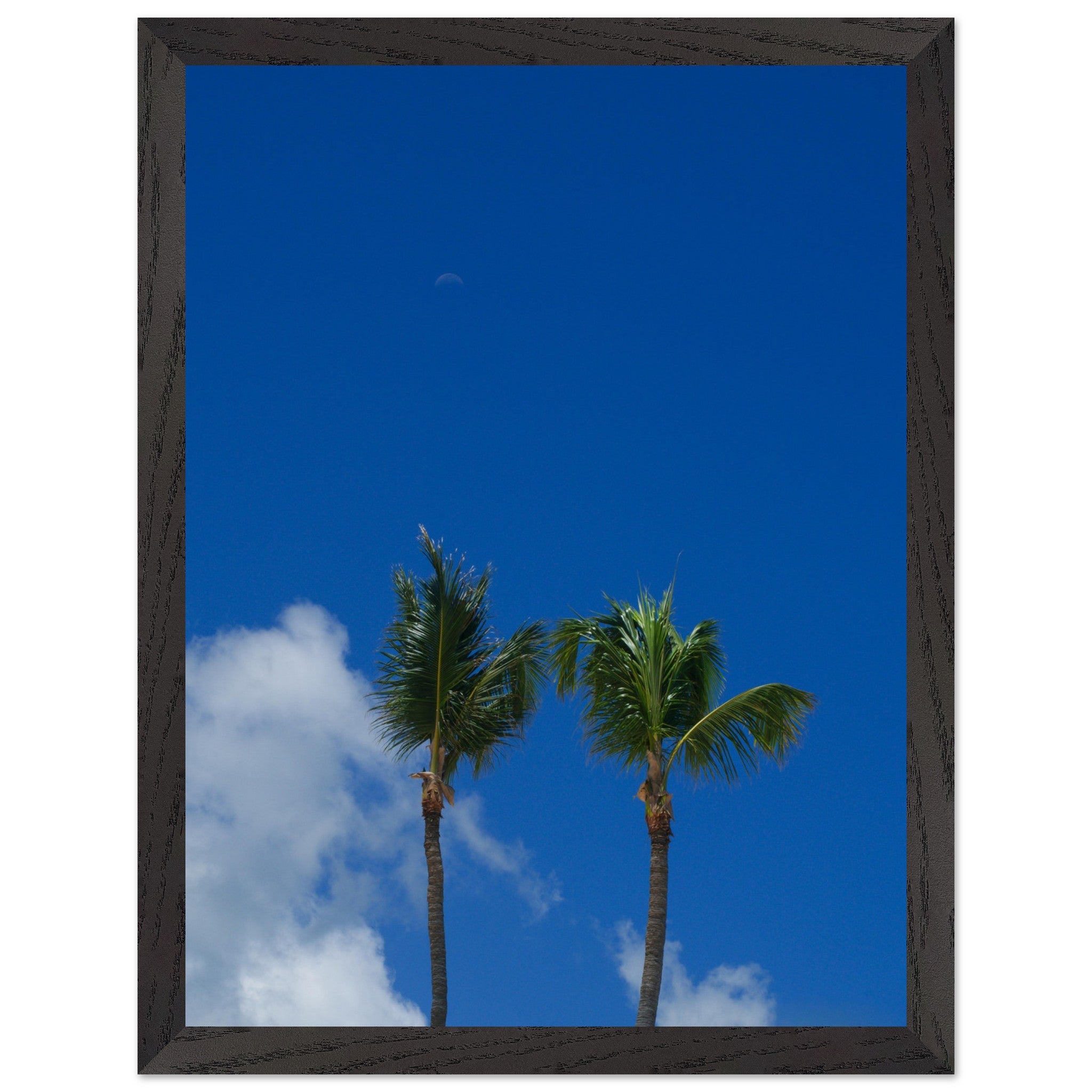 d495621a-b40b-415a-abb8-481e0c0a26bb