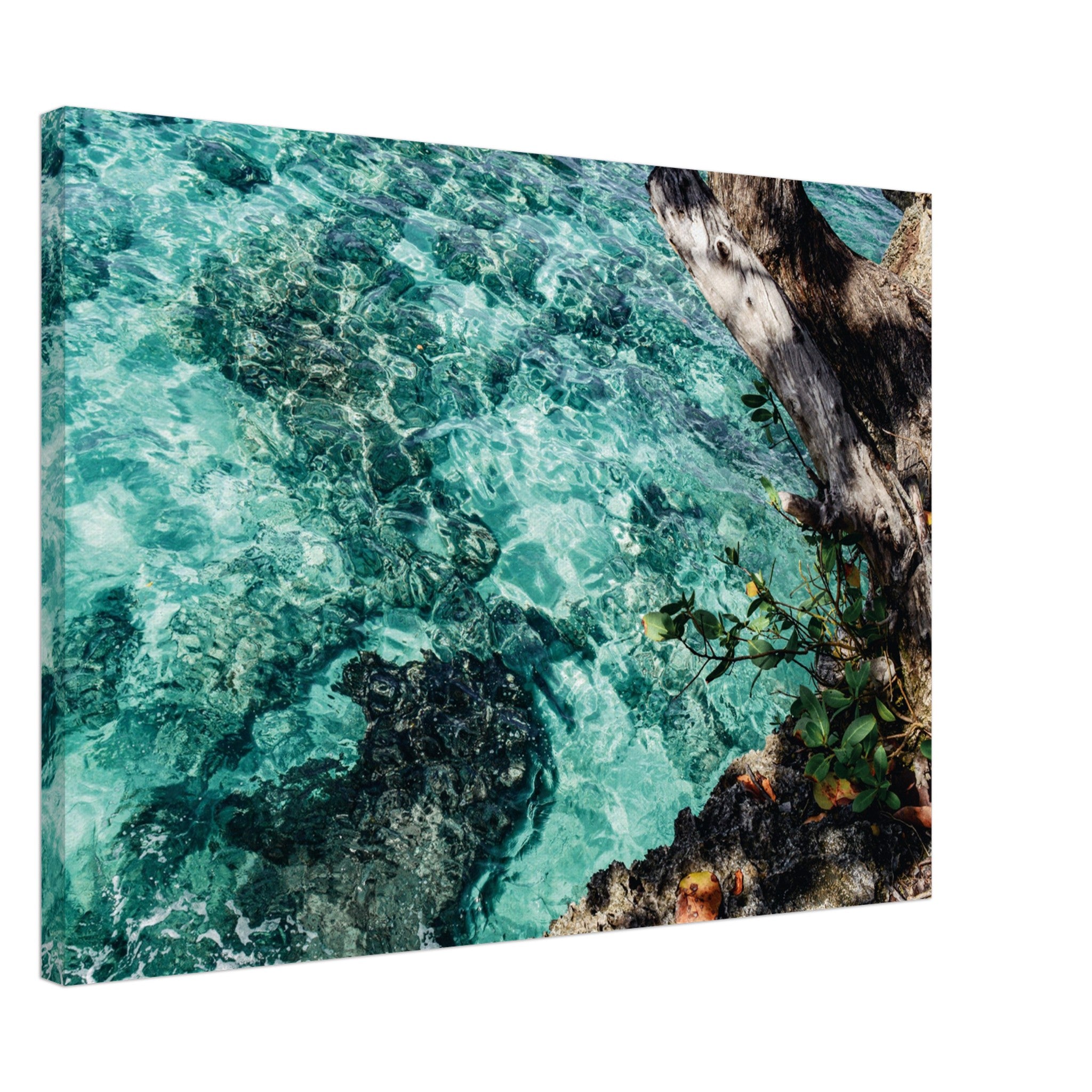 e7d0387f-a031-4fbf-96c8-bbed85ea2419